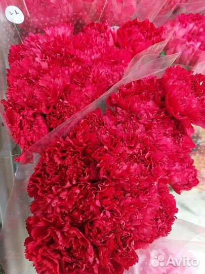 Гвоздика опт, розница