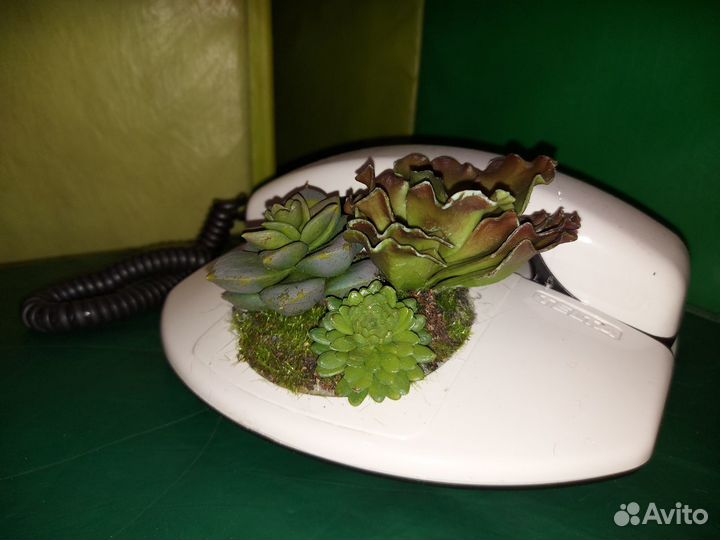 Подарок женщине. Интерьерная композиция в оргиналь