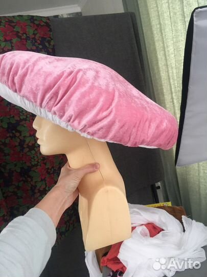 Шляпа гриба Сыроежка Поганка