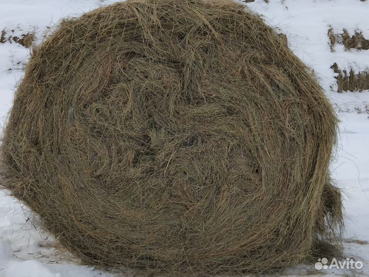 Сено в рулонах