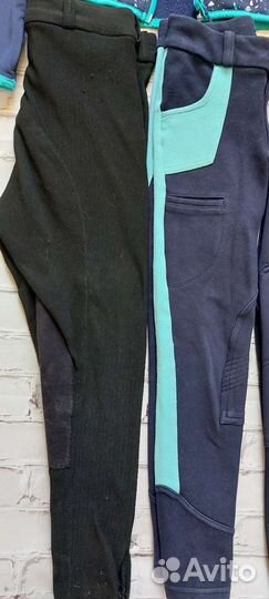 Одежда, бриджи для конного спорта, верховой езды