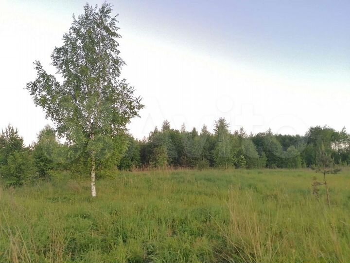 Участок 30 сот. (ИЖС)