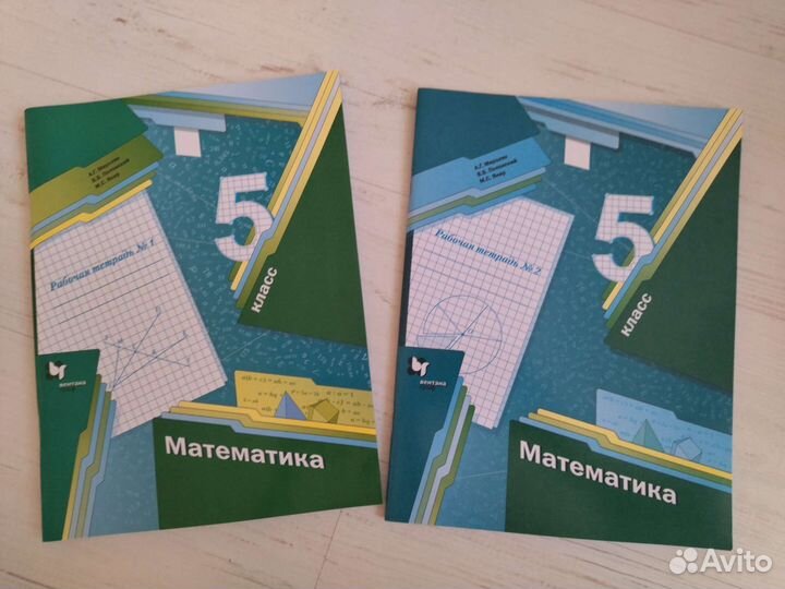 Рабочая тетрадь математика 5 класс Мерзляк