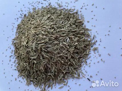 Семена газонные. Универсальные