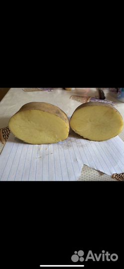 Картофель крупный домашний
