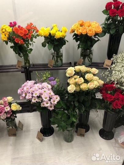 Роза, гвоздика, хризантема