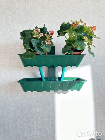 Вертикальный сад на стену