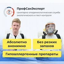 Уничтожение тараканов клопов плесени - дезинфекция