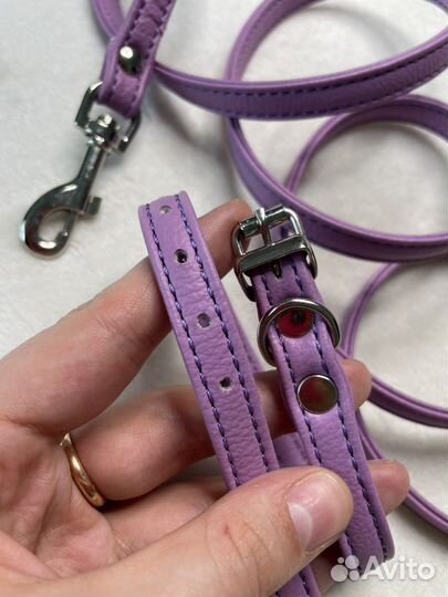 Поводок и ошейник для собак, кошек