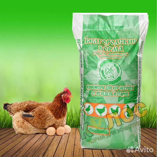 Корм для кур