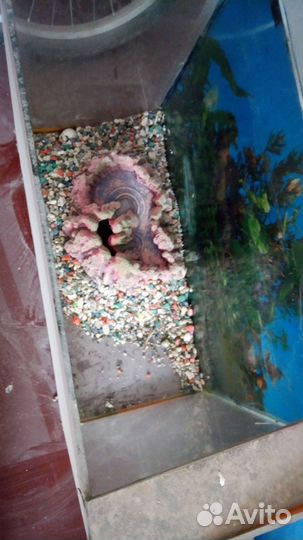 Морской аквариум