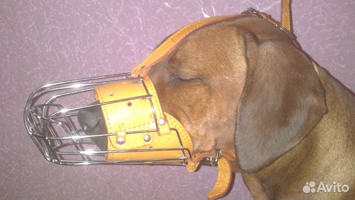 Намордник для крупной собаки