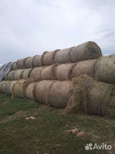 Сено в рулонах