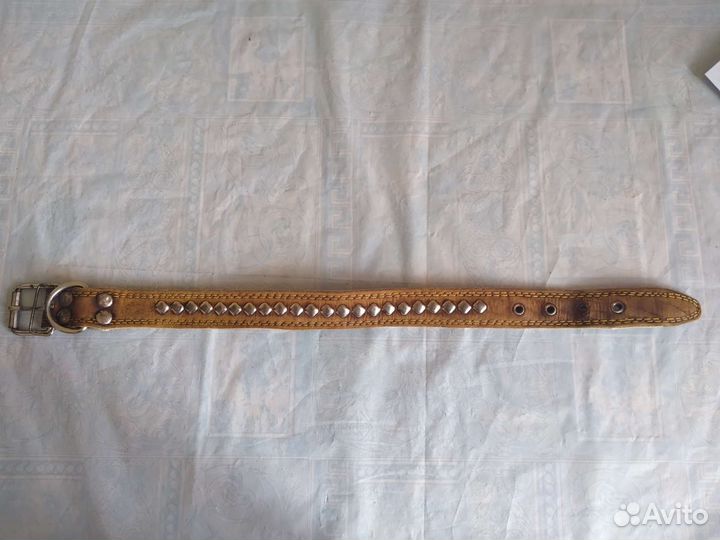 Ошейник на крупную собаку