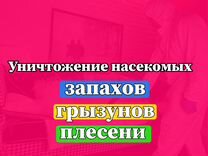 Уничтожение тараканов клопов дезинфекция