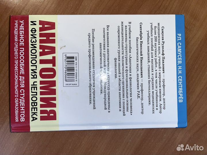 Анатомия и физиология человека