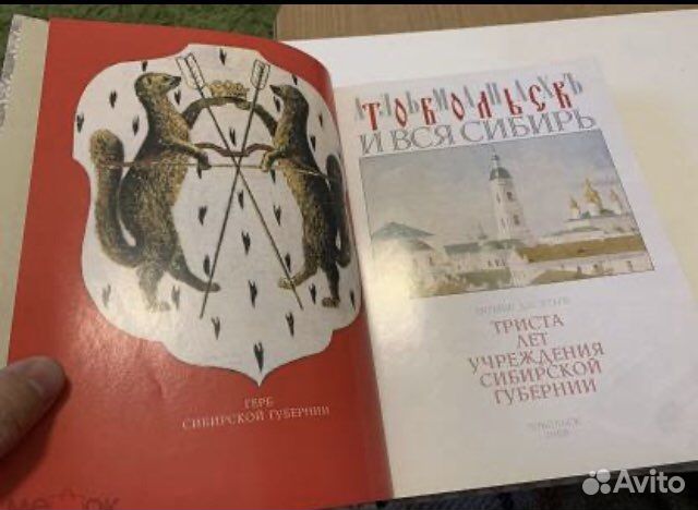 Тобольск и вся Сибирь. Книга десятая 2008