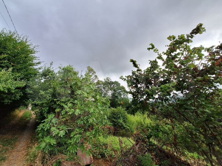 Участок 5,5 сот. (ИЖС)