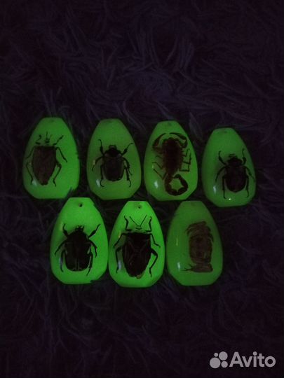 Насекомые в эпоксидной смоле