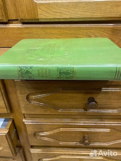 Книга о вкусной и здоровой пище СССР