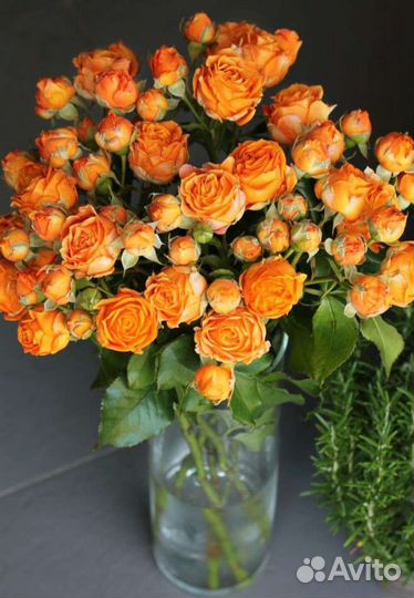 Розы кустовые.Букет.Купить