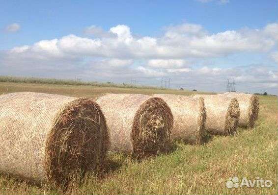 Сено в тюках укос 2023