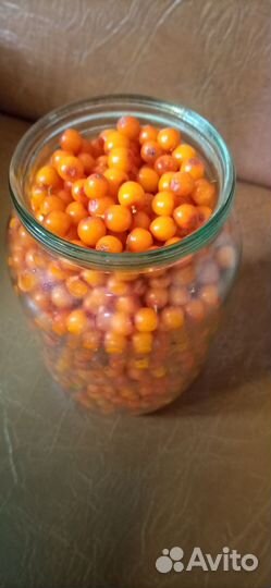 Облепиха. Луковица тюльпана. Б у банки. Калерия