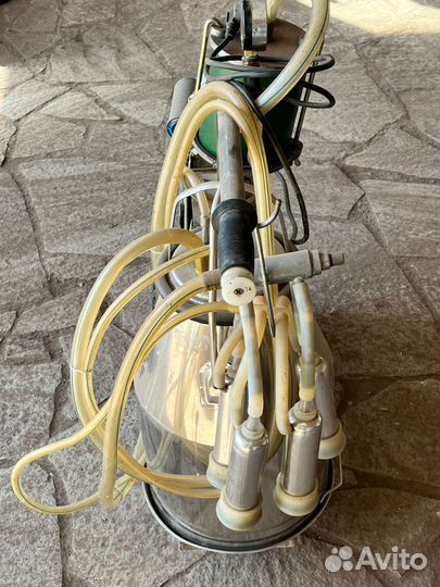 Доильный аппарат бу