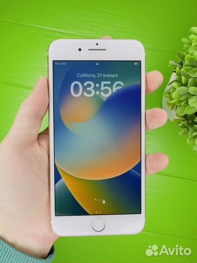 iPhone 8 plus 64gb Золотистый