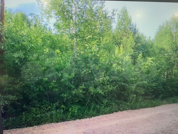 Участок 21,6 сот. (СНТ, ДНП)