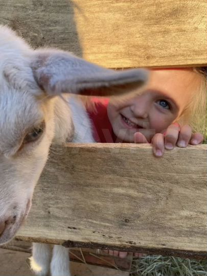 Дом 31 м² на участке 29 сот.