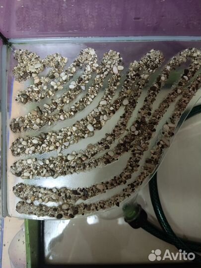 Аквариум черепашник с островком 35 л