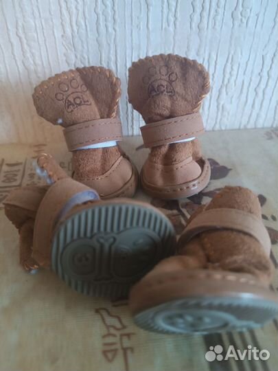 Ботинки для маленьких собак