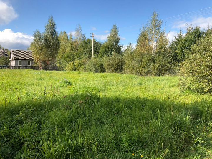 Участок 10 сот. (СНТ, ДНП)