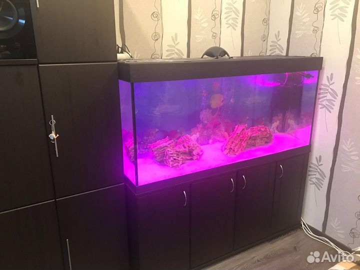 Аквариум 500 литров. Новый. Гарантия 5 лет