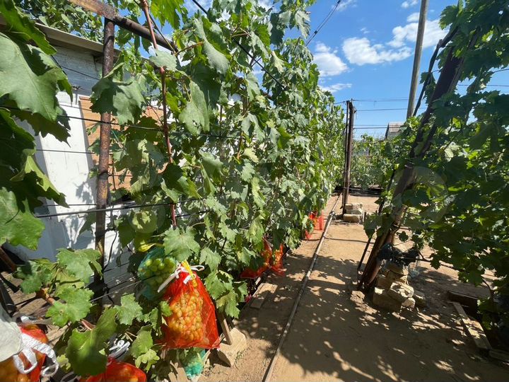 Дача 10 м² на участке 9 сот.