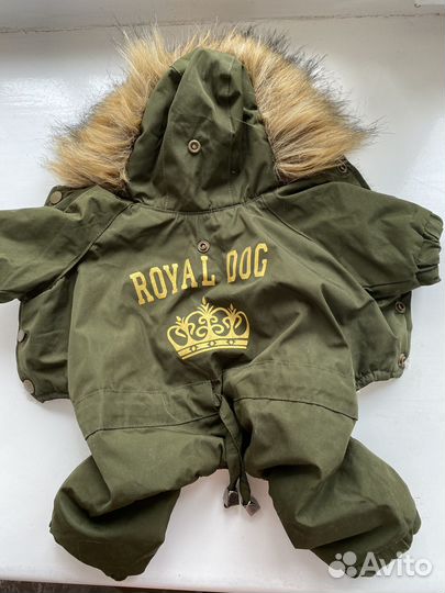 Одежда для собак