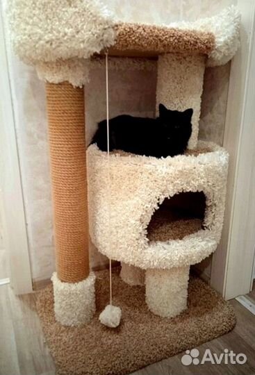 Когтеточка для кошки