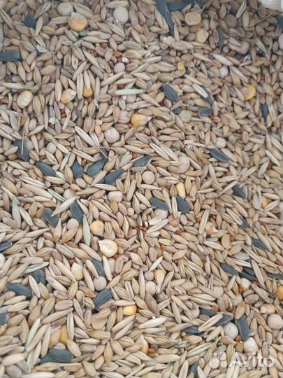 Зерносмесь с ракушкой для птиц