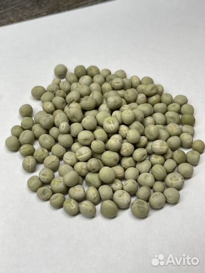 Семена Горох Мадрас Зеленый на микрозелень 1кг