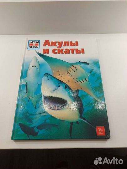 Энциклопедия 