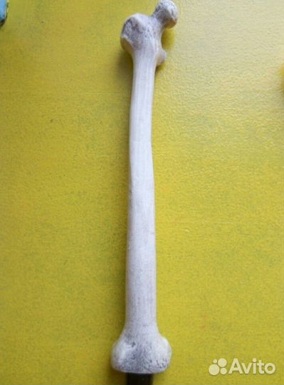 Пивные краны