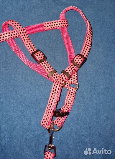 Шлейка с поводком для небольшой собаки