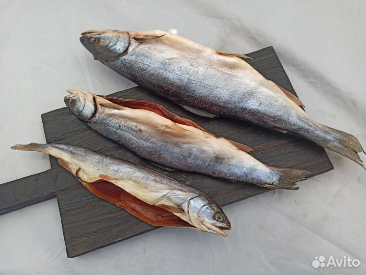 Технологии обработки рыбы