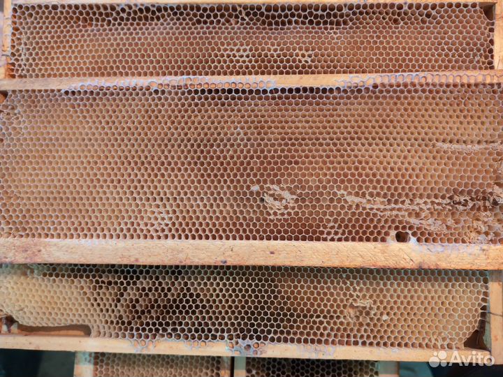 Сушь для пчел, рамки с сушью 35шт