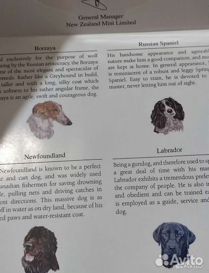 Набор серебряных монет. Собаки. Камбоджи