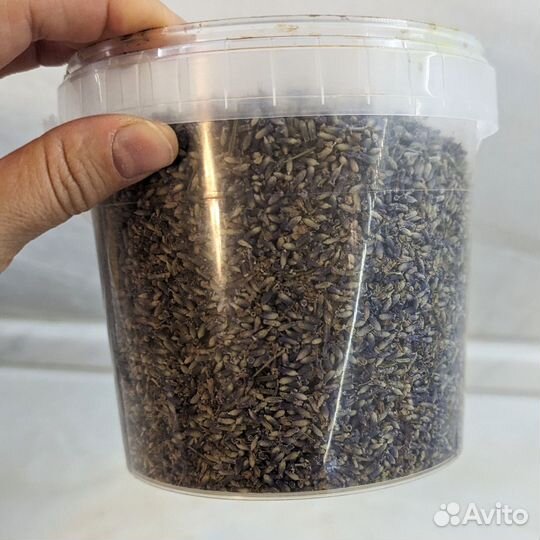 Лаванда сухоцвет