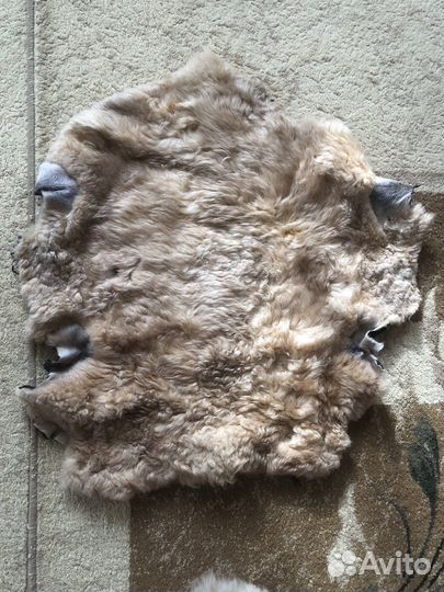 Овечья шкура