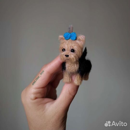 Йоркширский терьер. Миниатюрная игрушка собака,той