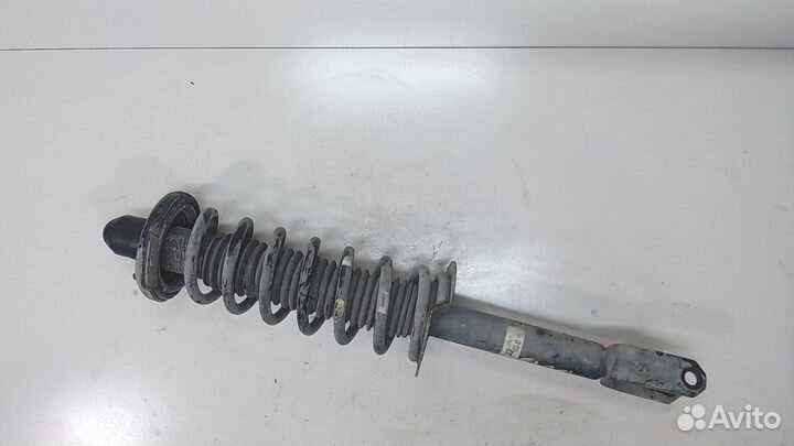 Амортизатор подвески Honda Crosstour, 2010